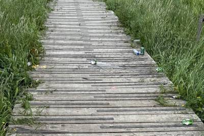 Jeg er rystet og rasende!