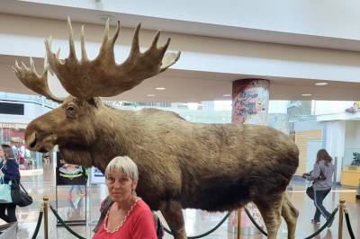 Advarer reisende: – Bare å stålsette seg