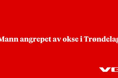 Mann angrepet av okse i Trøndelag