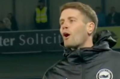 Her får Brighton-manageren nok