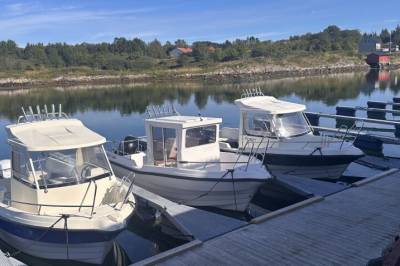Staten setter fisketurismen under lupen