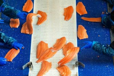 Krevende start på året for sjømateksporten – kraftig fall i USA-eksporten