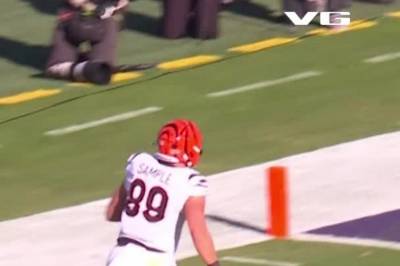 Touchdown: Sample, Bengals