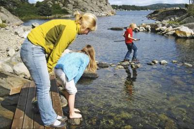 Det grønne skiftet som visker ut kystens sjel