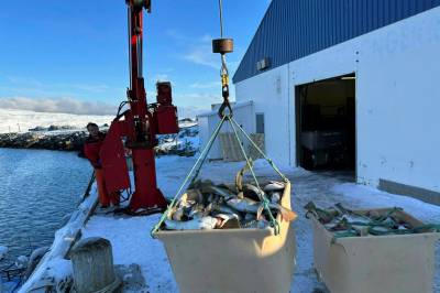 Oscar-uka 2026: Her er alle de eksklusive festene