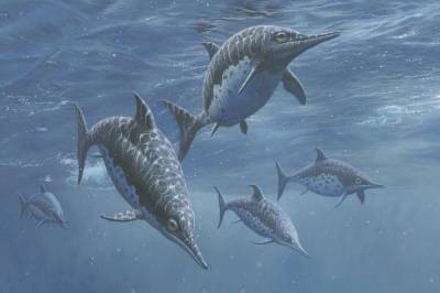 Fossile ribbein avslører nye hemmeligheter om fiskeøglenes svømmeteknikk