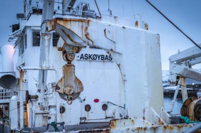 Askøy-eid selskap fikk enorme verdier av staten – fiskere ringte livredde