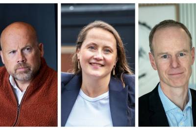 Bare ett meglerhus traff med nyttårsrakettene i år