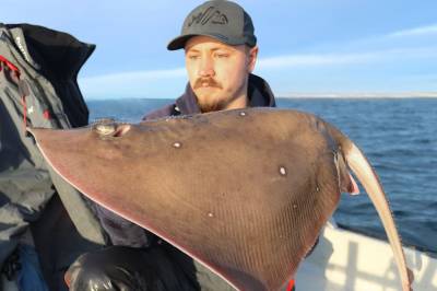 width=device-width, initial-scale=1