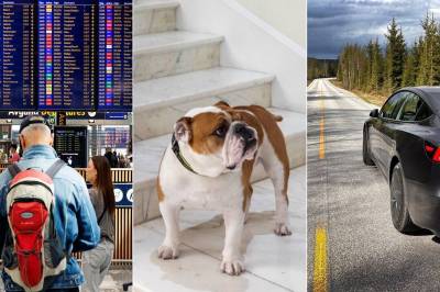 Disse forsikringene har steget mest i pris: – Grunn til bekymring