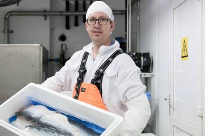 Transport av fisk kan ende i store bøter. Det er helt unødvendig