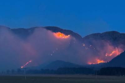 To helikoptre i sving mot terrengbrann i Ørland: – God effekt