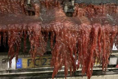 Slik vil de stoppe griseriet