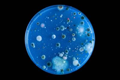 Antibiotika: – Lærebøkene bør nok skrives om