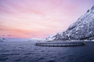 width=device-width, initial-scale=1