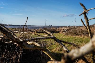Glemt i «jernmarkene»: – Jeg er «fløjtende likeglad» 