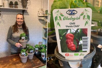 Cicilie fikk sjokk da hun så penis-chilien: – Måtte bare ha den