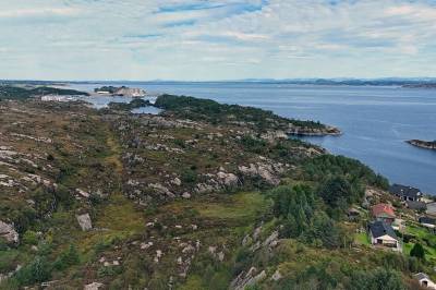 «Det er et paradoks at vi bygger ned naturen for å få ned utslippene»