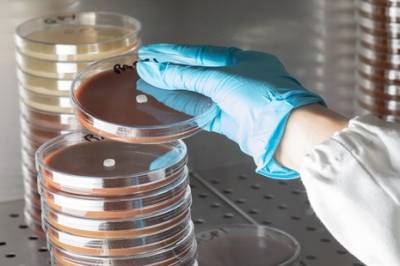 Et nytt kraftfullt antibiotikum er oppdaget