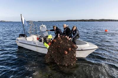 På jakt etter forfedrenes synder: Her haler guttene opp «fangsten»