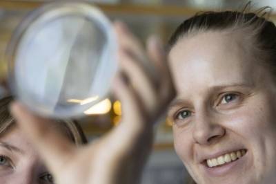 Hvorfor dør noen bakterier når vi tar antibiotika, mens andre overlever?
