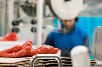 Arbeid i reke­fabrikker kan gi luftveisplager