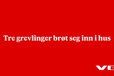 Tre grevlinger brøt seg inn i hus