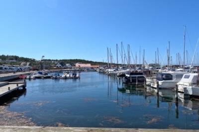 Skal hamstre marinaer i Norden