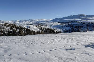Vurderer å sende fare­varsel: – Ganske mye snø