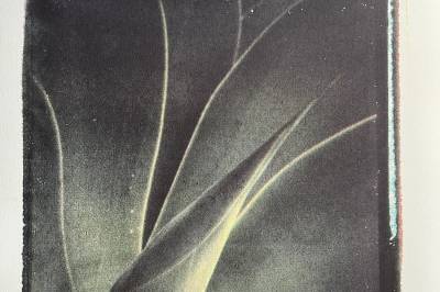 Ringkunstnerne stiller ut flere steder