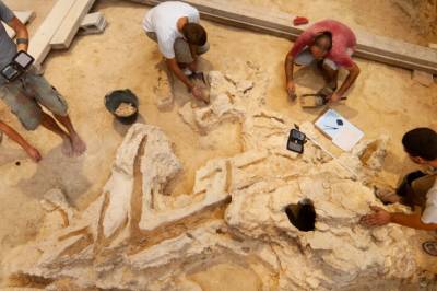 Stort funn i Spania viser hvordan neandertalere brukte tre