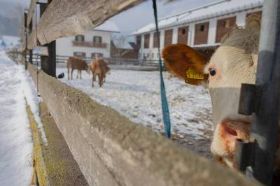 Dagros aner ikke hva som venter de neste to ukene