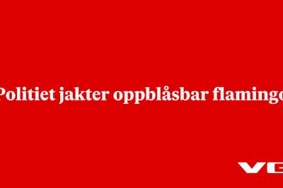 Politiet jakter oppblåsbar flamingo