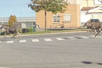 Byturen tok en dramatisk vending