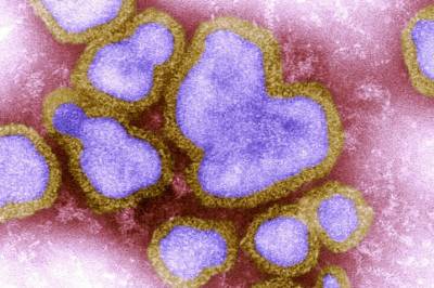 Influensatoppen nås trolig i jula