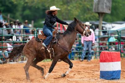 Knivstakk flere hester: – Skremmende