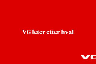 VG leter etter hval