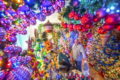 Har 621 juletrær hjemme