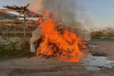 Tyske turister må i fengsel etter påsatte branner i Lofoten