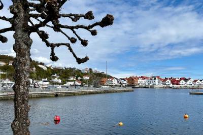 Meteorologen spår usikkerhet om 17. mai været: – Kan ikke se bort fra regnbyger