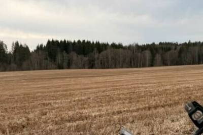 Sjokkfunn på jorde: - Fantastisk