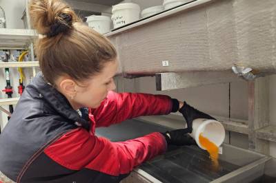 Oppdrettslaks kan bli surrogat­­­­­­­­mødre for villaks