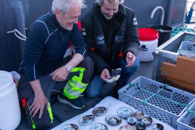 Urmaker fant 300 år gammelt «porselensvrak»