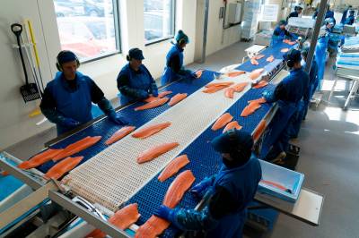 Kostnadssmell: Kronen kan gjøre vondt verre