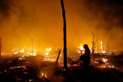Rekordlite skog­brann i Amazonas i fjor