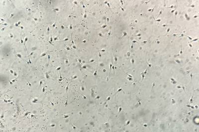 Klar sex-oppfordring: – Ikke hold deg