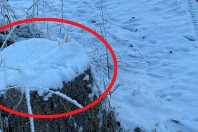 Kommune beklager etter kjempetabbe