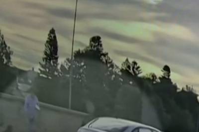 Eldre par ofret livet for å stoppe terroristen