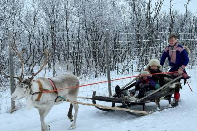 Reinsdyrglede i Nesseby