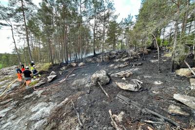 Har sendt ut farevarsel om skogbrannfare